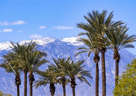 Best Palm Springs Winter Hikes and Palm Springs Aerial Tramway