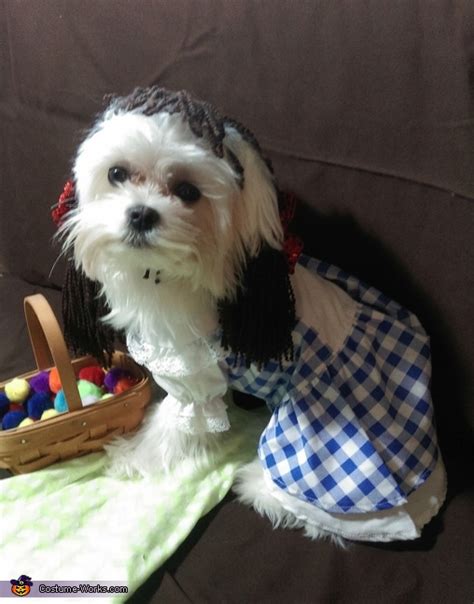 Dorothy Dog Costume | Halloween Party Costumes