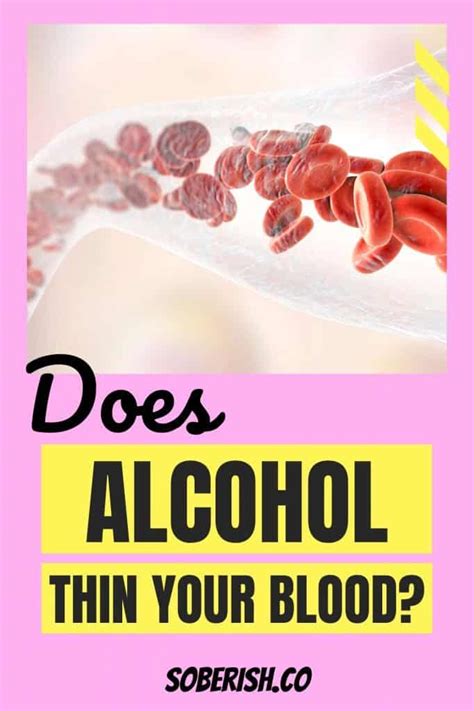 Does Alcohol Thin Your Blood? Know The Risks - Soberish