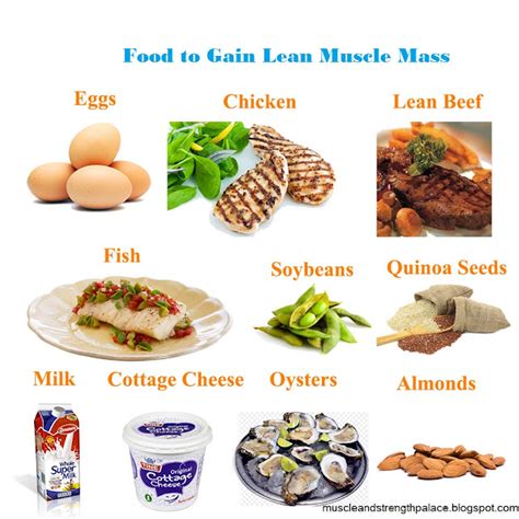 Muscle Palace: Food You Need to Eat to Gain Muscle Mass