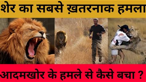 Attack of a Lion on man ।। Lion suddenly came and jump on man ।। Man Vs ...