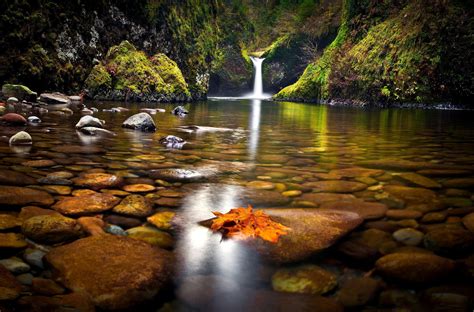 Brown maple leaf, waterfall, nature, landscape HD wallpaper | Wallpaper Flare