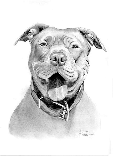 Realistic Dog Drawings | ubicaciondepersonas.cdmx.gob.mx