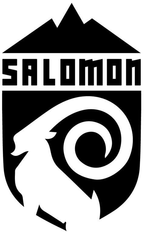 Bryan CHAUMINE - Salomon Logo rebuilt 2017 #project