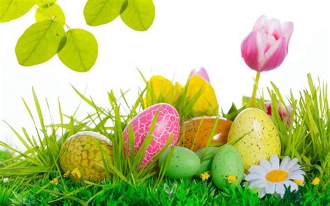 🔥 [73+] Free Easter Computer Wallpapers | WallpaperSafari