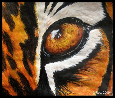 Tiger's Eye by Roshila on DeviantArt