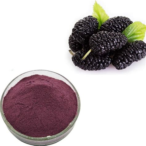 Mulberry Extract - Purple – Skin Foodie