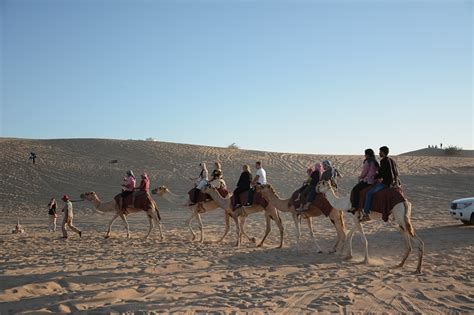 Camel Riding Dubai - Leisure and Me