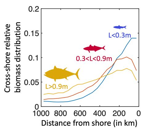 Scientists Use SDSC’s Expanse to Better Understand California Current Ecosystem