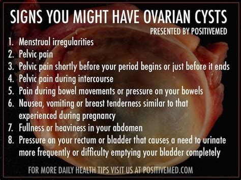 What You Should Know About Ovarian Cysts Symptoms -PositiveMed ...