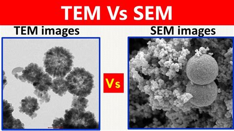 What Is Difference Between Sem Tem Youtube – Otosection