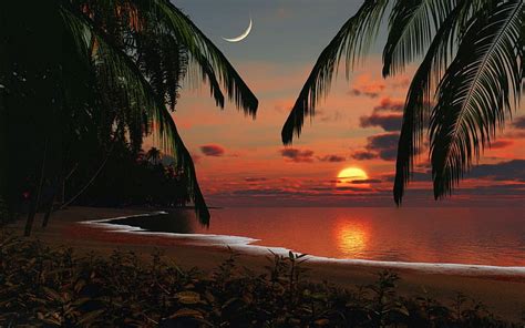 PARADISE SUNSET, beach, moon, paradise, ocean, sunset, clouds, sky, palm trees, HD wallpaper ...