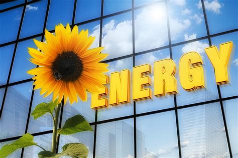 Energy Sun Flower Font · Free photo on Pixabay