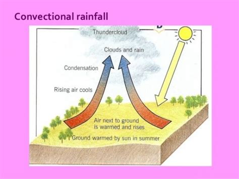 Convectional rainfall - Free ZIMSEC Revision Notes and Past Exam Papers | Rainfall, Science ...