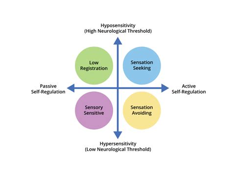 Sensory Development Chart