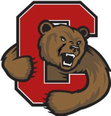 cornell university mascot - Google Search | Red color hex, Cornell university, Logo wall