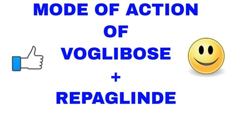 Mode of action of Voglibose and Repaglinide - YouTube