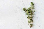 Growing Thyme from Cuttings | The Kitchen Herbs