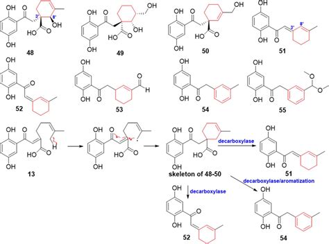 Structures and possible biosynthetic pathway of compounds 48-55 ...