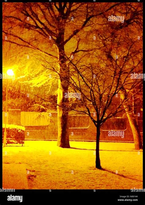 Gently falling snow at night hi-res stock photography and images - Alamy