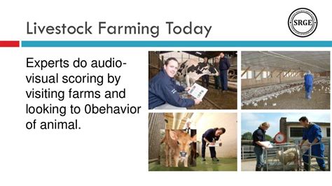 Precision livestock farming cattle identification based on biometric