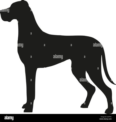 Great dane silhouette Stock Photo - Alamy