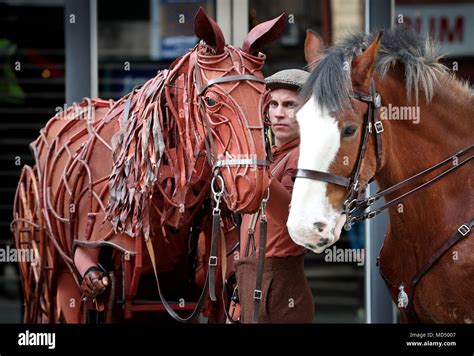 The life size horse puppet used in war horse hi-res stock photography ...