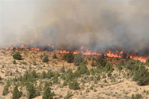 Millions of British Columbia Residents Under Air Quality Warnings As Wildfires Fill Skies With ...