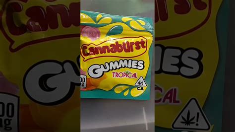 Cannabis gummies Tropical 500mg, 50 Mg Thc Gummy Bears Effects