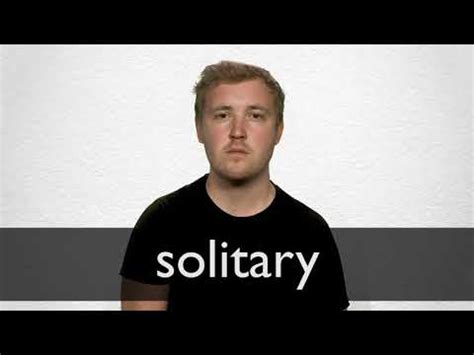 SOLITARY definition and meaning | Collins English Dictionary