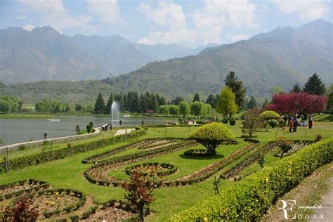 Jawaharlal Nehru Memorial Botanical Gardens, Srinagar - TripAdvisor Srinagar, Jawaharlal Nehru ...