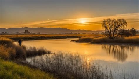 Explore CA Wildlife Refuges | Breathtaking Nature Tours