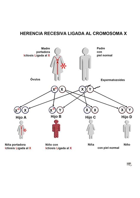 Información genética - ASIC