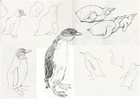 nicola killen: The story of Fluff and Billy Part 4 - Penguin drawings