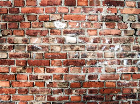 File:Brick wall in Flemish bond.jpg - Wikipedia