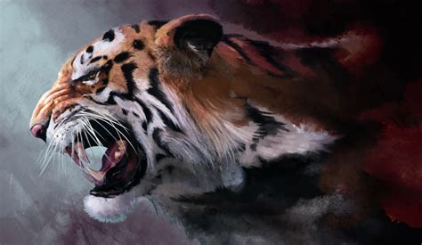 Tiger Head Wallpapers HD / Desktop and Mobile Backgrounds