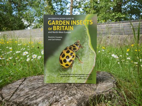 Garden Bugs Identification Uk | Fasci Garden