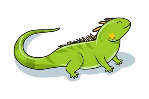 Iguana Illustration Cartoon | Easy doodles drawings, Iguana, Art drawings for kids