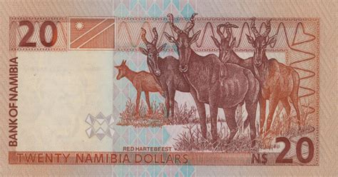 Namibia Dollar NAD Definition | MyPivots