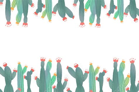 Shading Border PNG Transparent, Cactus Shading Border, Frame, Plant, Cactus PNG Image For Free ...