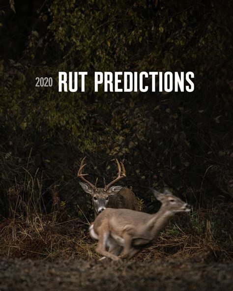 When Is The Deer Rut In Pa This Year - Template Calendar Design