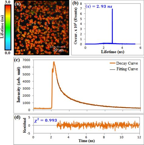 a FLIM images of As2O3 microcrystals b lifetime histogram c the PL ...