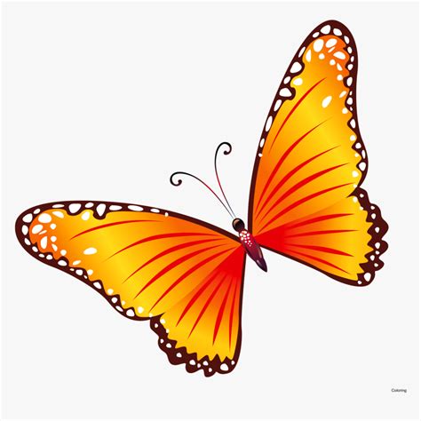 Transparent Butterfly Border Clipart - Transparent Background Butterfly Clipart Free, HD Png ...