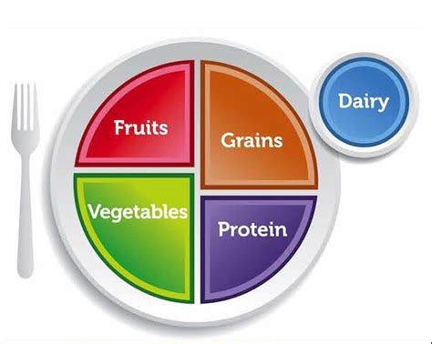 Eating well matters: Turn to MyPlate for helpful nutrition information | Local ...