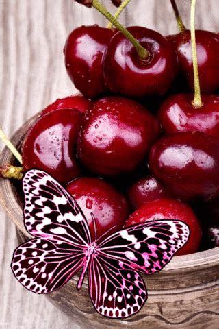 a bowl filled with cherries and a butterfly