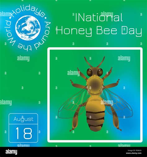 National Honey Bee Day in USA. Concept ecological event. 18 August. Realistic bee drawing ...