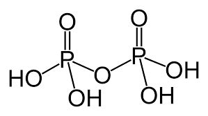 Draw the structure of:A.Pyrophosphoric acidB.Pyro phosphorous acidC.Poly metaphosphoric acidD ...