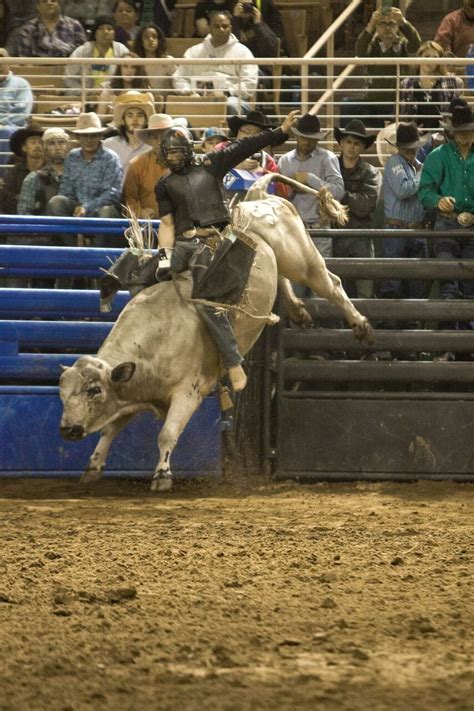 Silver Spurs Rodeo brings Monster Bulls event to Kissimmee on Feb. 10