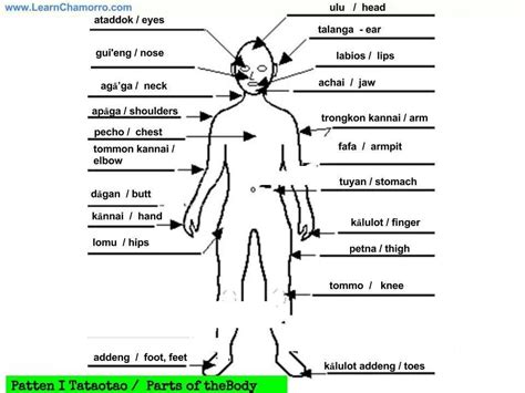 Body parts | My heritage, Body, Body parts