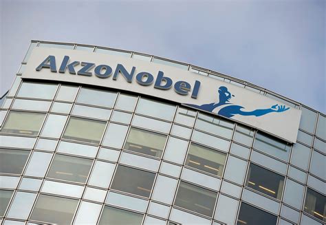 Akzo Nobel takes hit from weak demand in Europe, China | Reuters